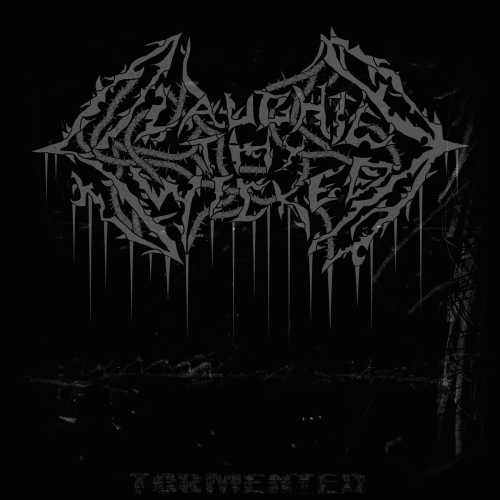 Slaughter Thy Wicked : Tormented